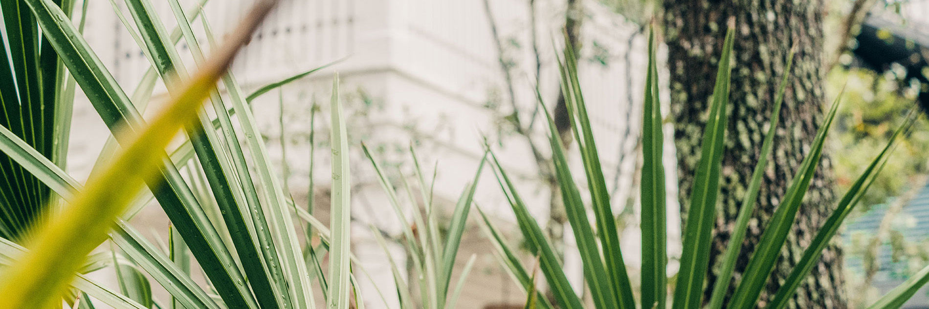 WaterColor Community WaterColor Community